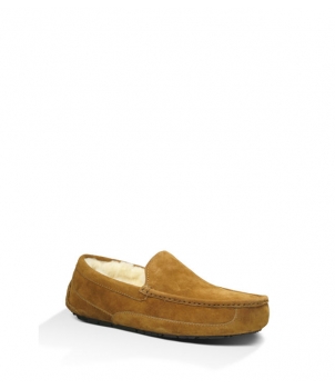 Mens Ascot - Suede Chestnut 5775